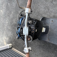 HONDA ズーマー AF58の画像