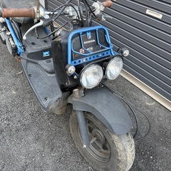 HONDA ズーマー AF58の画像