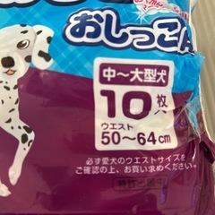 男の子用マナーおむつ10枚入の画像