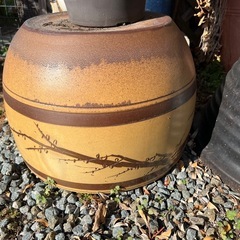 メダカ鉢,睡蓮鉢の画像