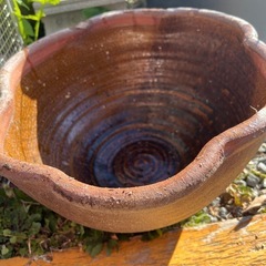 メダカ鉢,睡蓮鉢の画像