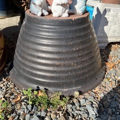 メダカ鉢,睡蓮鉢の画像