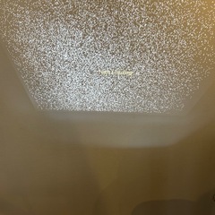 【LED切れ】シーリングライト型プロジェクターの画像