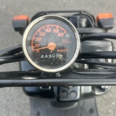 ズーマー50の画像