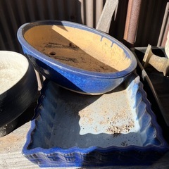 生け花用の画像