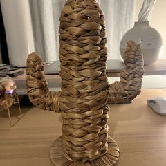 【引越しのためお譲りします】インテリア用サボテン（高さ33cm）