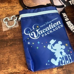 ディズニーリゾート　バッグの画像