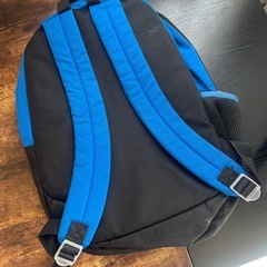 ポケモン　リュックサックの画像