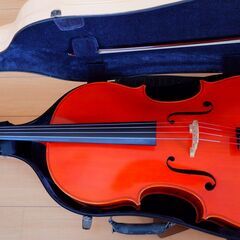 良品チェロ　ジャパンブランド：ピグマリウス　Pygmalius　ST-303　チェロの入門者や初心者にお奨めです！の画像