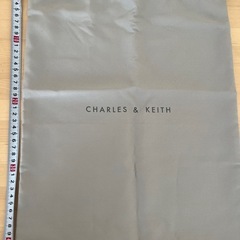 【未使用】チャールズアンドキース　袋　の画像