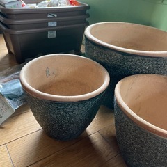 園芸セットの画像