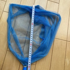 【差し上げます】　たも網　虫取り網の画像