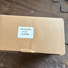 ダイソン　バッテリーの画像