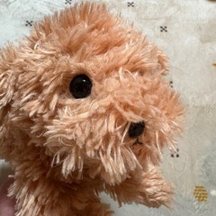 サンレモン＊ひざわんこの画像