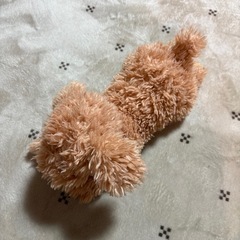 サンレモン＊ひざわんこの画像