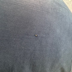 ビーズクッション詰替ビーズの画像