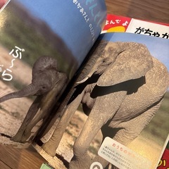 1~2歳児向け絵本１１点の画像