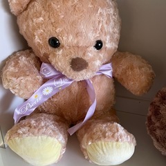 クマのぬいぐるみ　１つの値段です。の画像