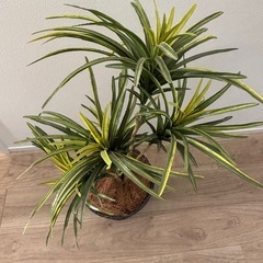 フェイクグリーン(高さ80cm)　人工観葉植物の画像
