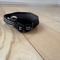 犬用首輪の画像