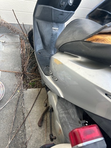送料無料　HONDA DIO 50cc 原付