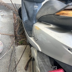 送料無料　HONDA DIO 50cc 原付の画像