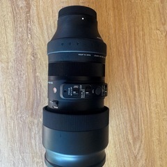 シグマ SIGMA 100-400mm  の画像