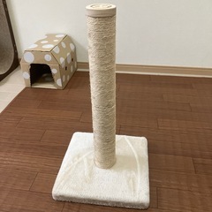 猫壱　つめとぎの画像