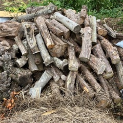 [薪材]伐採した木　の画像