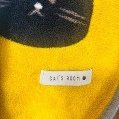 (決まりました)中古薄い毛布の画像