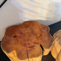 イチイ オンコ 輪切り 年輪の画像