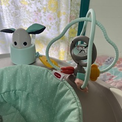 タイニーラブ♪ジャンパルー歩行器の画像