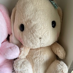 ぬいぐるみ　１つの値段ですの画像