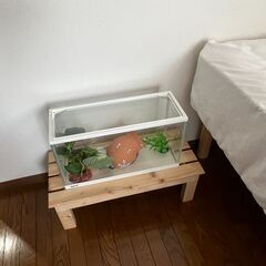 【引越しのためお譲りします】ガラス水槽（付属品付き）の画像