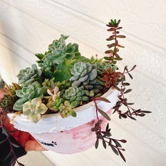 No.21そのまま飾れる多肉植物寄せ植えリース風　ハンドメイドリメイクの画像