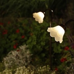ソーラーパスフラワーライトの画像