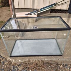 60センチ水槽、40センチ水槽２個、エアーポンプセットの画像