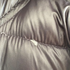 ノースフェイスのフェザーダウンの画像