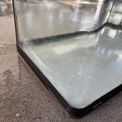 GEX  水槽 60センチ（今年中に処分予定）の画像
