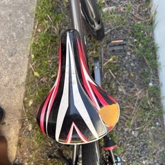 20インチ 自転車の画像