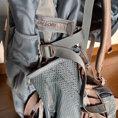 グレゴリー　ザックsage55の画像