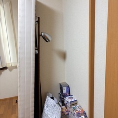 セミダブルベットの画像