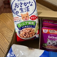 シニア猫用のゴハンの画像