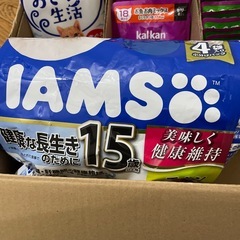 シニア猫用のゴハンの画像