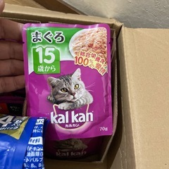 シニア猫用のゴハンの画像