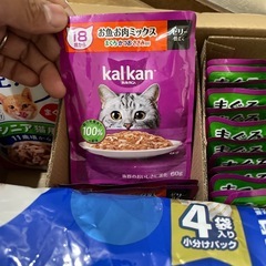 シニア猫用のゴハンの画像