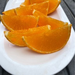 愛果28号(紅まどんな)5kgの画像