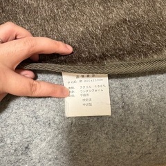 こたつとカーペットの画像