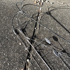 釣り道具の画像