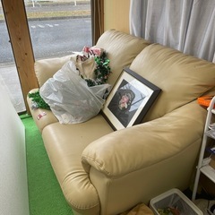 椅子・ガラス机・ソファー・三角テーブル・水槽の画像